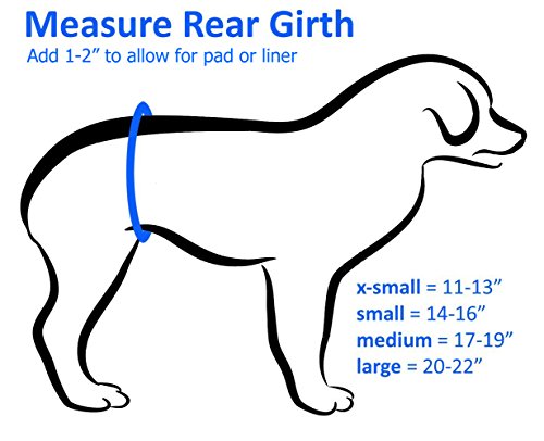 Belly Band For Male Dog Training And Incontinence (Blue Paw Print) (Large: 20"-22") #TOP2