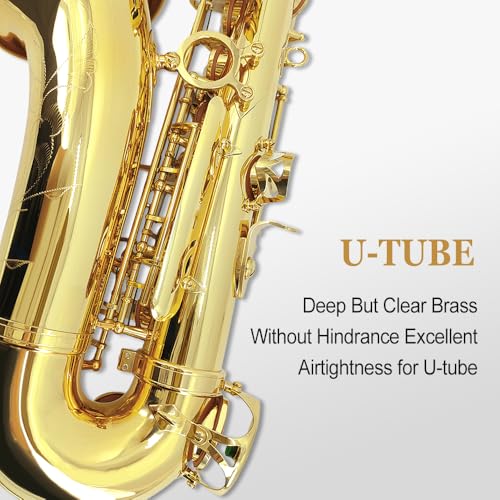 alto saxophone beginner kit for adults student saxophone eb professional brass saxophones instrument with sax case mouthpiece reeds gloves cleaning cloth amp brush gold