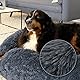 lionto Donutbett für Hunde und Katzen, Flauschiges Hundebett rund für kleine und große Heimtiere, Ø 120 cm, weiches Katzenbett aus kuscheligem Plüsch, Hundekissen mit extra Dicker Füllung, dunkelgrau