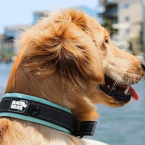 Black Rhino - Das Comfort Halsband Super Weiches Neopren Gepostertes Hundehalsband für alle Hunderassen - Hochbeanspruchbar Verstellbar Reflektierend Wetterfest (Groß, Aqua/Grau)