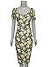 Tom's Ware Women's Scoop Neck Floral Short Sleeve Knee Fitted Dress, Khakiyellow, Large