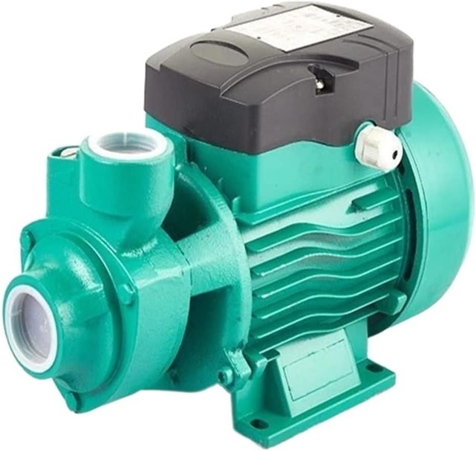 RUMBERGER Portable Electric Mini Utility Pump Water Pump