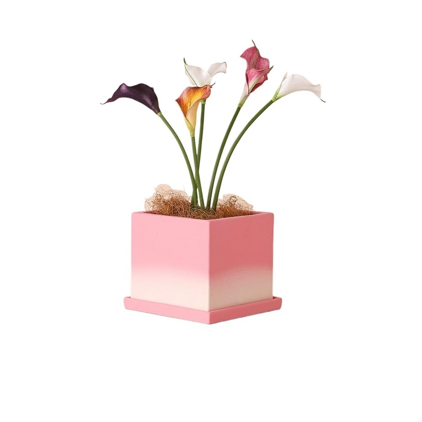 guiling-1986 Pots for Plants Ceramic Square Plant Pot For Phalaenopsis Orchids, Succulents And Pothos Flower Pot(XS)