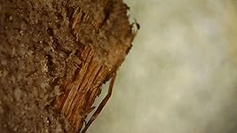 Review Image by Robert M. Johnson Robert M. Johnson