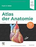  Atlas der Anatomie: Deutsche Übersetzung von Christian M. Hammer - Mit StudentConsult-Zugang