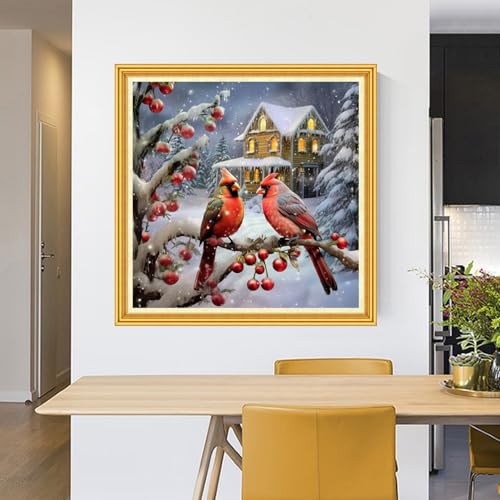 Image of Foxhool Stamped Cross Stitch Kits,11CT Printed Cross Stitch Pattern Full Embroidery Kits for Beginner Needlepoint Kits-Little Bird Snow Scene 18x18 inch