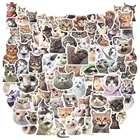 100Stks Handyhülle Lustige Katzen Aufkleber, Koffer Katzen Meme Aufkleber, Wasserfeste Kätzchen Aufkleber, Wasserflasche Niedliche Laptops Katzen Aufkleber für Kinder Teenager Skateboards