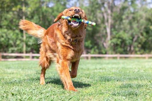 Image of Chuckit! EcoFetch Fetch Stick Dog Toy, Pack of 1, for All Breed Sizes (EcoFetch Stick) | Mentally and physically engaging, suits all breed sizes, pack of 1, built to last through games of chase and retrieve daily