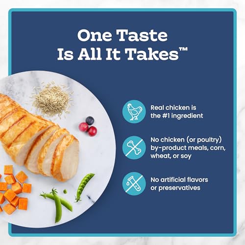 Blue Buffalo Tastefuls Natural Dry Food for Adult Indoor Cats, Chicken & Brown Rice Recipe, 15-lb. Bag