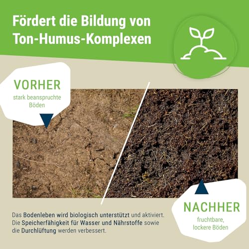 Schicker Mineral Diabas Urgesteinsmehl sandig 25 kg, Lava Gesteinsmehl 0-2 mm versorgt Garten und Boden natürlich mit Mineralien, 100% Naturprodukt, Bodenhilfsstoff, Bodenverbesserer, Fibl gelistet