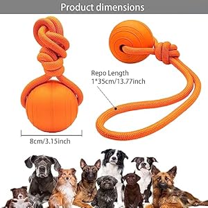 Dog ball on a rope dog toyfloating foam dog ball with ropetug ball toy for small medium large dogs aggressive chewers   cucciolini doodles
