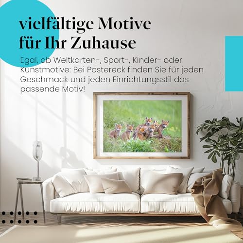 Postereck - 3479 - Fuchs, Rudel Wiese Tier Welpe Natur Nachwuchs - Wandposter Fotoposter Bilder Wandbild Wandbilder - Poster - 4:3-81,0 cm x 61,0 cm
