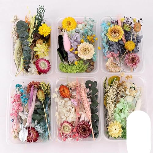 Flores secas mixtas en relieve para manualidades y decoración miniatura 5