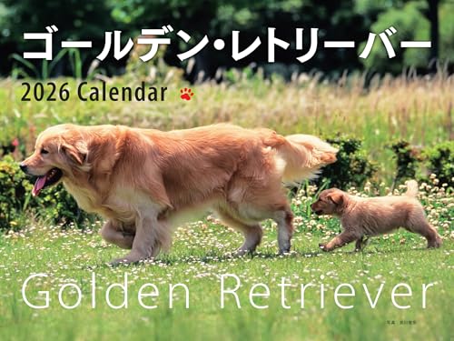 2026年カレンダー ワイド判 ゴールデン・レトリーバー (誠文堂新光社カレンダー)