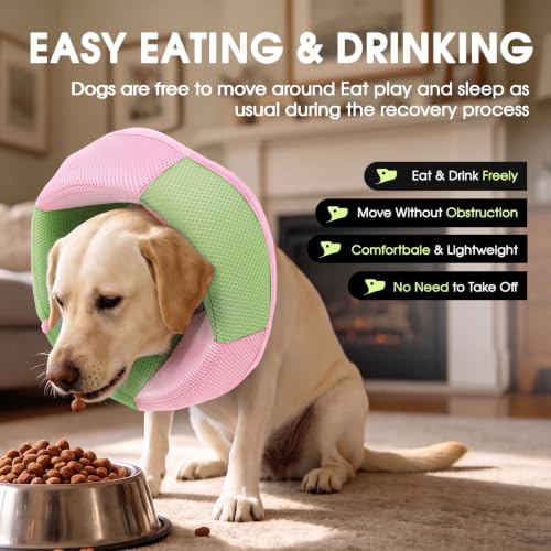Image of Dog Cone Soft Cone for Dogs to Stop Licking