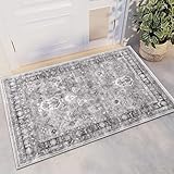 HEBE Washable Area Rug 2x3 Entry Rug Soft Distressed Small Area Rugs Non Slip Indoor Door Mat Boho Rug Oriental Accent Throw Rug Floor Carpet for Bedroom Kitchen Entryway Bathroom