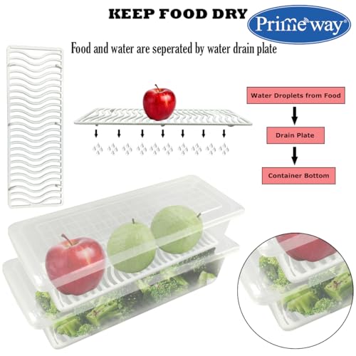 Image of Primeway Polypropylene Pack of 3 Food Savers Containers with Water Drain Tray | Kitchen Boxes | Fridge Organiser | Keep Fresh Storage | Stackable | 29.5x11.8x7.2cm | 1.5L each | Clear