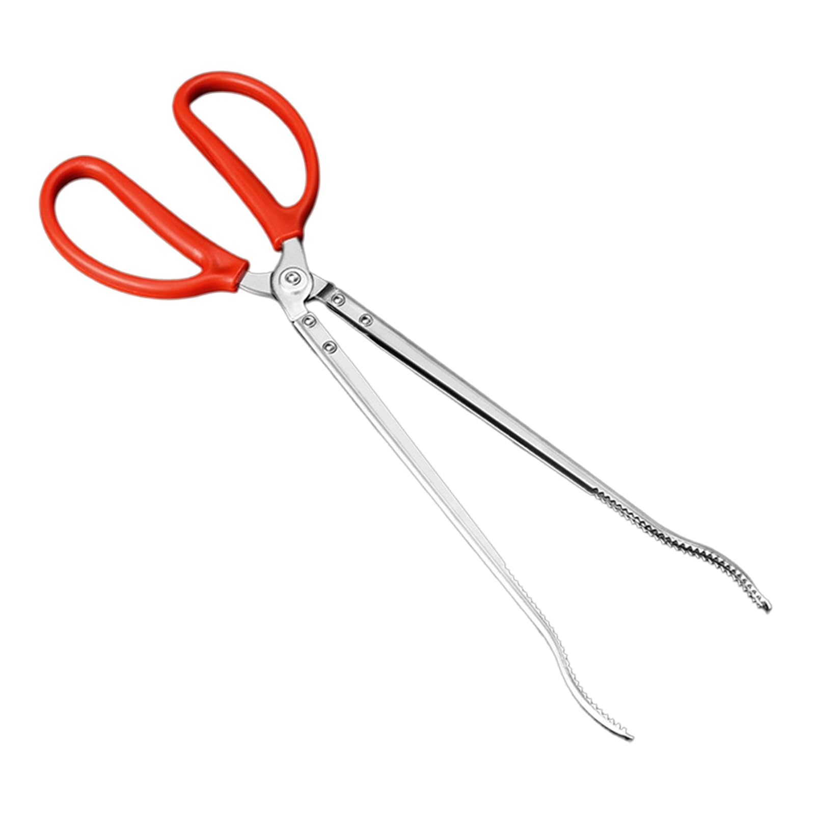Professional Garbage Color Tongs Antislip Long Handle Outdoor Pliers for EEL Catching Fish Grabbing Rustproof Rustproof Steel Anguilla Clip