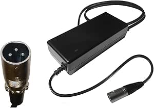 In Car Mobility 4a Scooter Lithium Battery Charger Solax Luggie - Foto 9