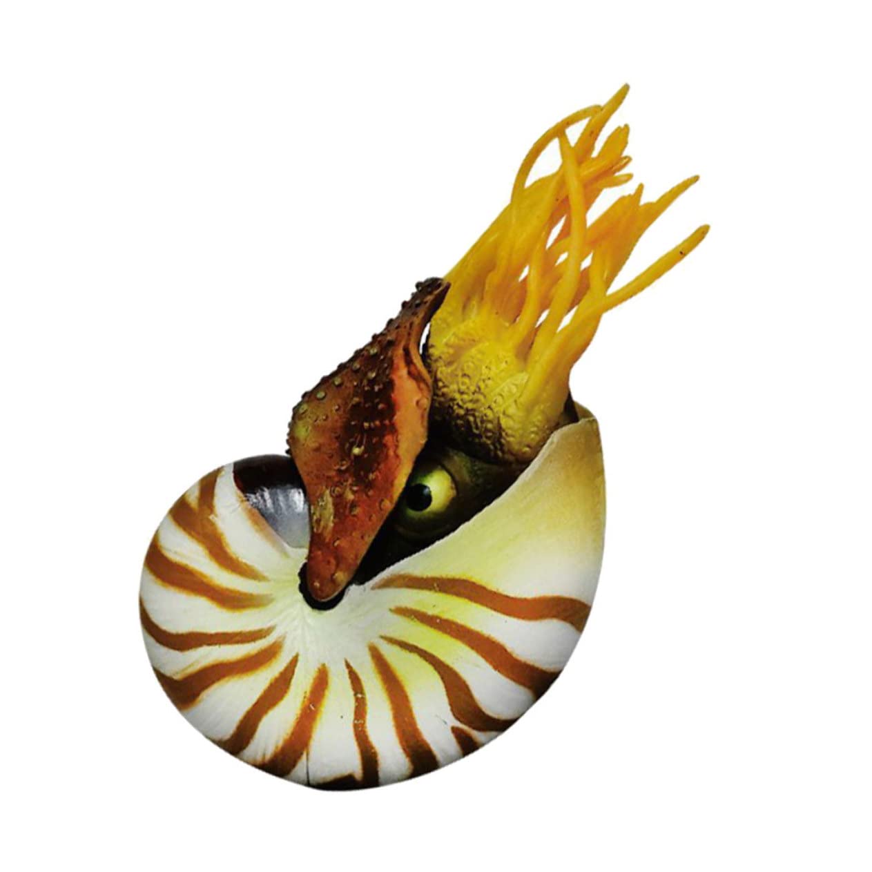 3stücke Simulation Nautilus Muscheldekor Für Aquarien Kreative Deko Für Fischbehälter Wohnzimmer Garten Bastelmaterial Für -kunstwerke Mediterraner Stil Hochwertige