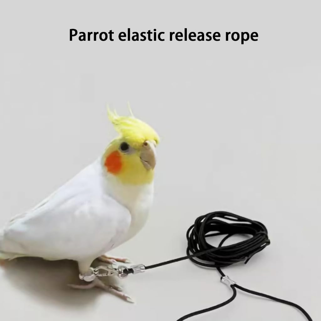 Guinzaglio per uccelli pappagallo a prova di fuga con blocco del cavo elastico in metallo anelli alla caviglia addestramento per animali
