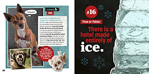 Totally Random Questions Volume 2: 101 Odd and Awesome Q&As - Image 5