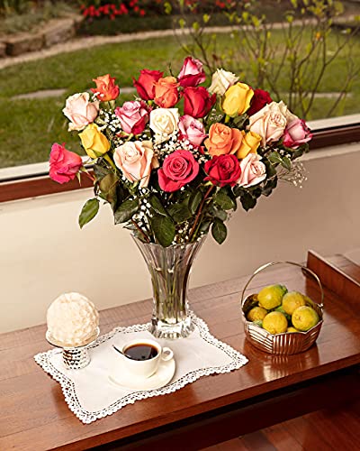 Fresh Flowers Delivery Wed, May 24th- 2 Dozen Roses for Delivery, Farmhouse Flowers for Delivery - Assorted Fresh Cut Long Stem Roses Bouquet of Flowers Birthday Gifts for Women -Aquarossa Farms