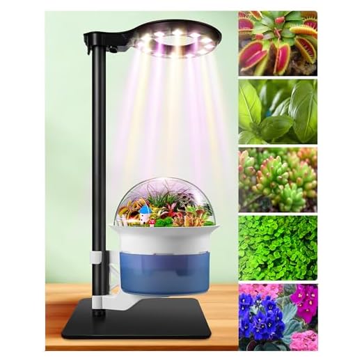 Smart Terrarium Kit for Indoor Plants
