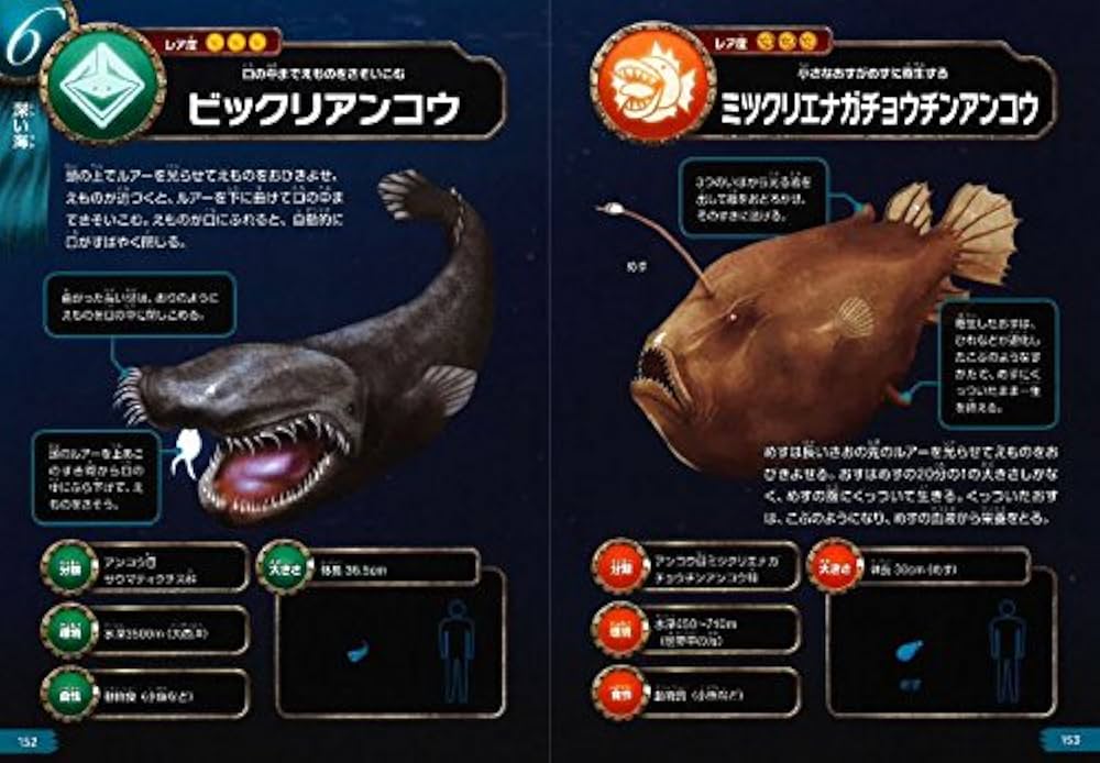 Encyclopédie des Pêches 全6巻 Encyclopédie des Pêches 全6巻 - メルカリ