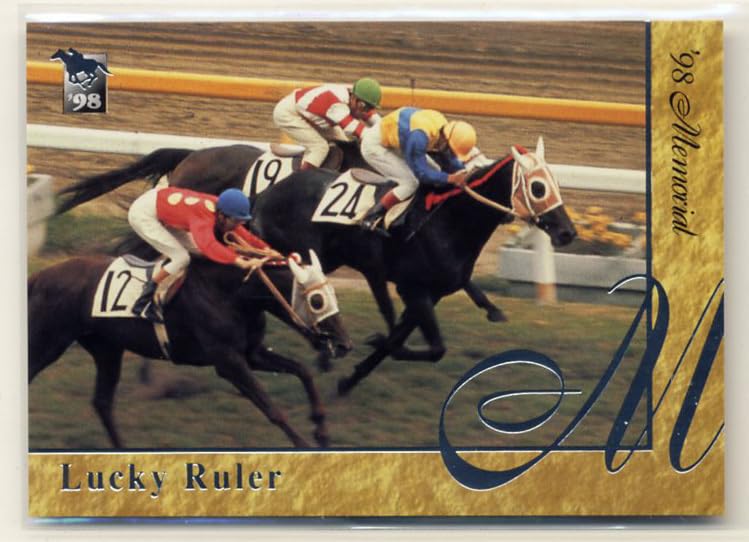 Amazon.co.jp: ラッキールーラ M6 メモリアルカード 銀文字