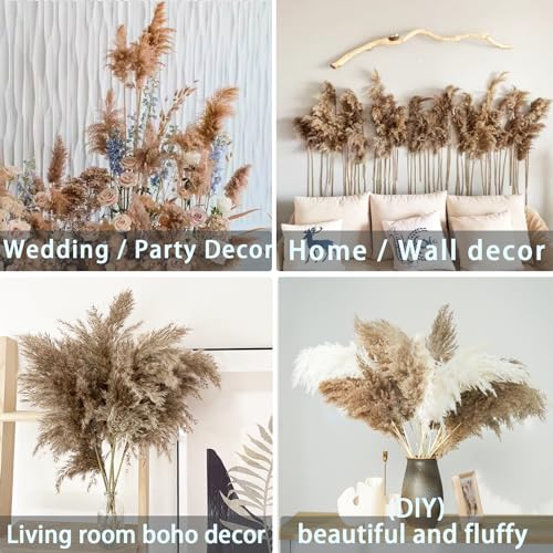 Image of 20 Stems 28 inch Large Brown Pampas Grass - Natural Fluffy Pompas Grass Bulk for Floor Vase - Boho Decor Home Wedding Event Decor, Gift