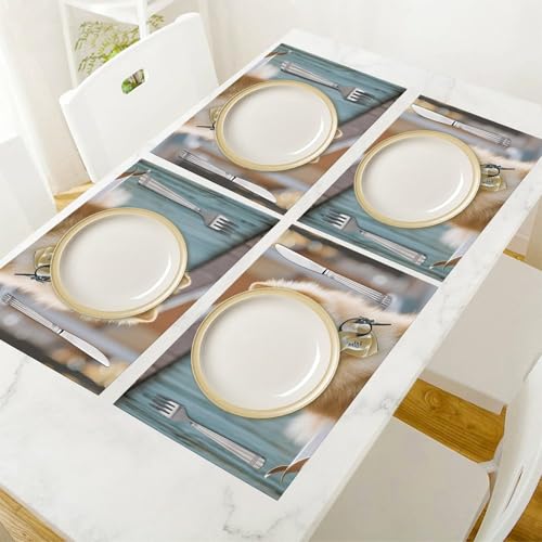 Set de table Poméranie lavable antidérapant résistant en PVC cuisine