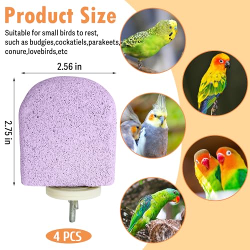 Image of PINVNBY 4 PCS Bird Perch Stands Parrot Calcium Perch Beak Grinding Stone Foot Claws Trimmer Parakeet Platform Parrot Chewing Toys for Small Medium Cockatiel Conure Lovebird Finch(Pink)