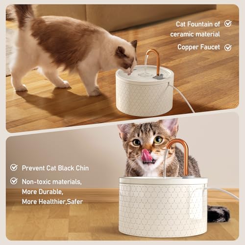 Fuente de agua para gatos cerámica MISFANS con filtros miniatura 4