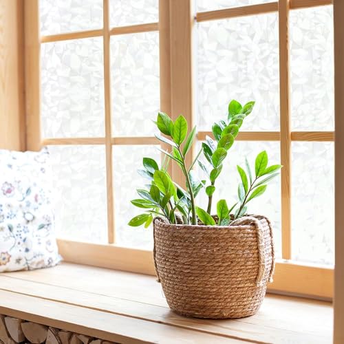 VSUDO Película de privacidad esmerilada para ventana, patrón geométrico de diamante, protección de privacidad, no adhesiva, cubierta de vidrio estática, tinte decorativo para ventana para el hogar y