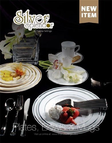 500 Pieces Plastic China Plate Silverware Combo for 100 people WHITE with Silver Bands