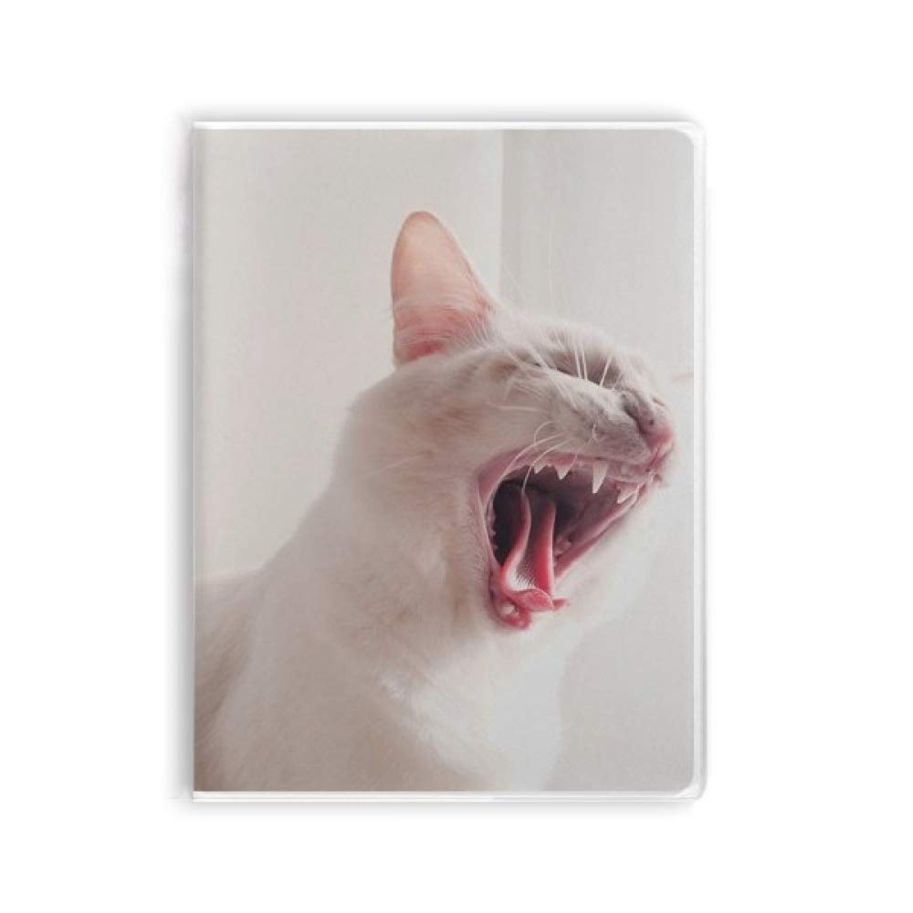 Carnet de notes chat blanc écriture et papeterie originale