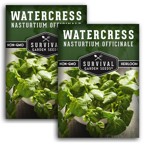 2 Packs Watercress Seed for Planting - Packet with Instructions to Grow Nasturtium officinale in Your Home Vegetable Garden - Non-GMO Heirloom Variety - Survival Garden Seeds