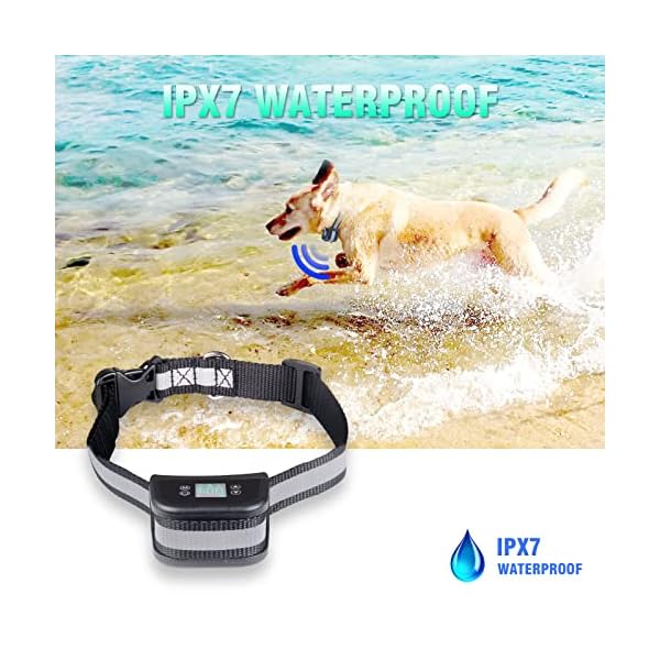 JUSTPET-GPS-Wireless-Dog-Fence-Containment-System-Electric-Accurate-GPS-Wireless-Dog-Fence-with-Rechargeable-Training-Collar-Range-Up-to-3281-FT-Harmless-and-Suitable-for-All-Dogs Electric Wireless Dog Fence System for Dogs