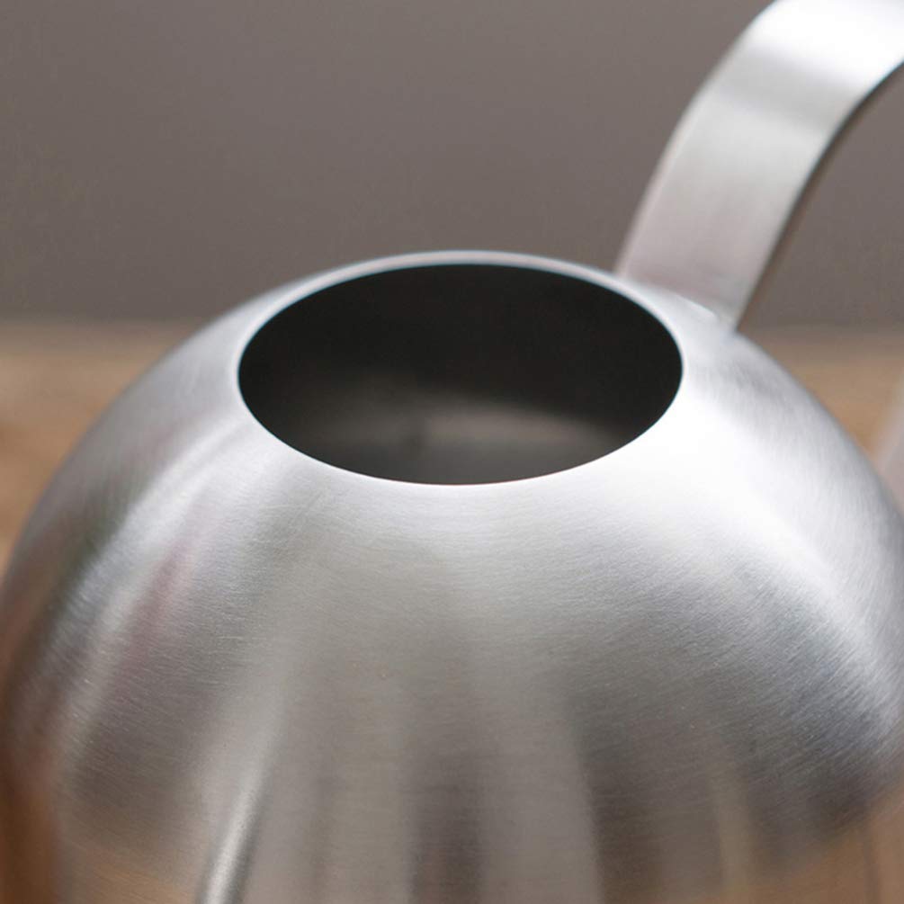 Annaffiatoio in Metallo Annaffiatoio con Beccuccio Lungo per Piante da E da Esterno 1000 Ml (Argento)