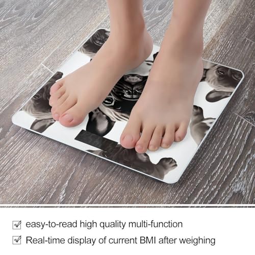 Báscula digital baño Bulldog Francés 400 lb miniatura 5