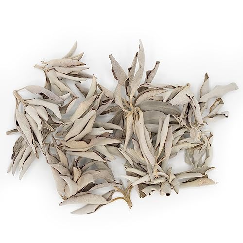 White-Sage--100-Pure-California-Whole-Leaf-Clusters--Sustainably-Harvested-8-Ounces