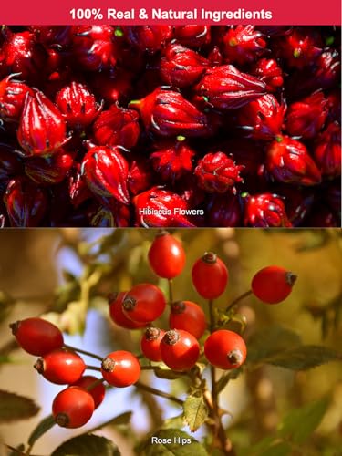 Image of TeeLux Rosehip & Hibiscus Tea Bags, Tart & Fruity Taste, 60 Count | Rosehip & Hibiscus Blend Herbal Tea, Caffeine Free, Sugar Free, Enjoy Hot or Iced