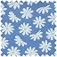Denin Daisies