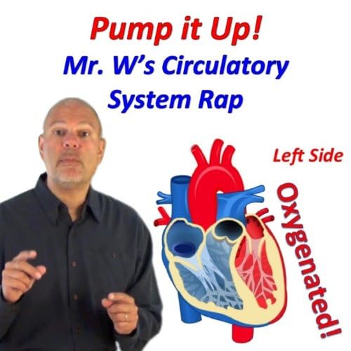 Amazon.com: Pump It Up! (Mr. W's Circulatory System Rap