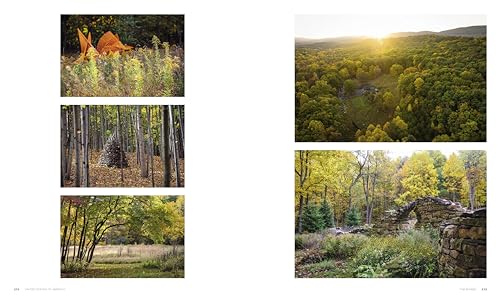 Visionary: Gardens and Landscapes for our Future - Image 11