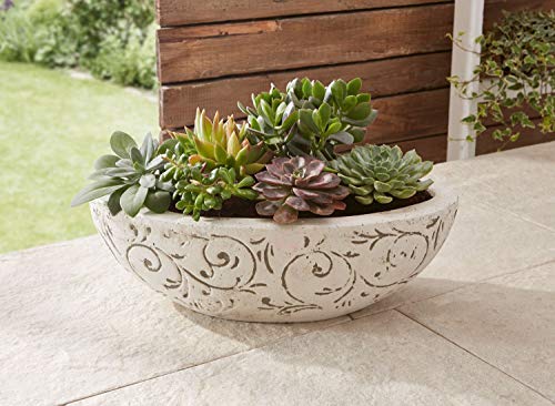 Preisvergleich Produktbild Pflanz-Schale "Ranken"