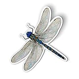 Dragonfly Realistic Pretty - 5' Magnet for Car Locker Refrigerator