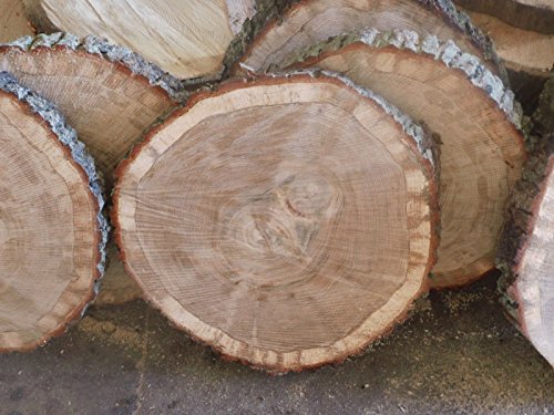 KJR Holzmanufaktur Baumscheibe, Holzscheibe,ca. 40x5 cm, basteln, Holz,Eiche Cover
