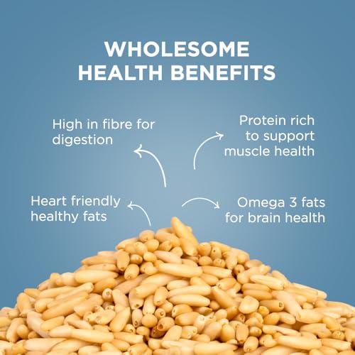 Image of Nutty Gritties Raw Pine Nuts Kernels 100g | Rich in Protein & Healthy Fats | High in Antioxidants | Healthy Snack | Resealable Pouch
